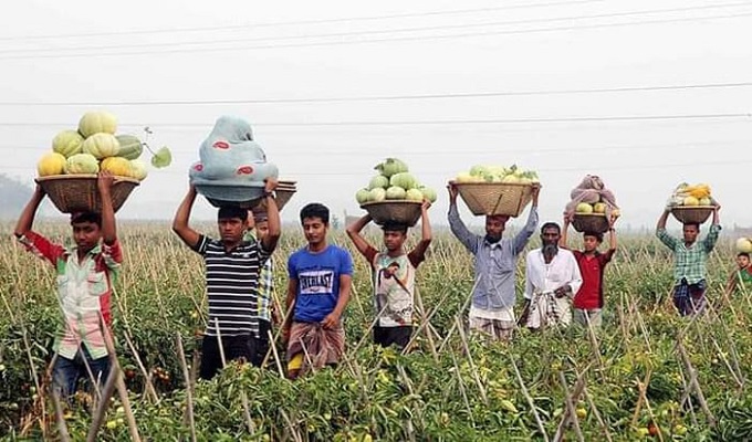 সংগৃহীত ছবি