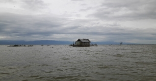 দেশের দক্ষিণাঞ্চল বন্যা কবলিত, বাড়ছে নদীর পানি দেশের দক্ষিণাঞ্চল বন্যা কবলিত, বাড়ছে নদীর পানি