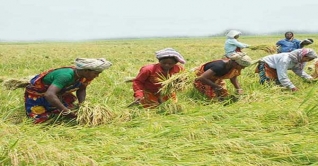 ৪১তম বড় অর্থনীতির দেশ বাংলাদেশ: সিইবিআর