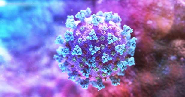 ছবি: ইন্টারনেট