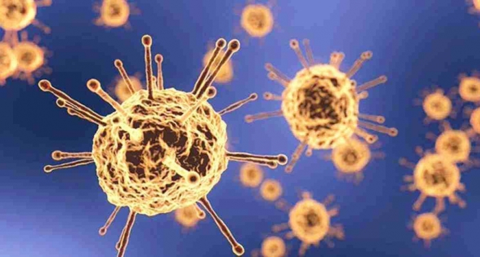 ছবি: ইন্টারনেট