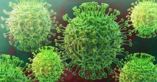 ফুসফুস ছাড়াও পুরো শরীরের জন্য ক্ষতিকর করোনা: গবেষণা