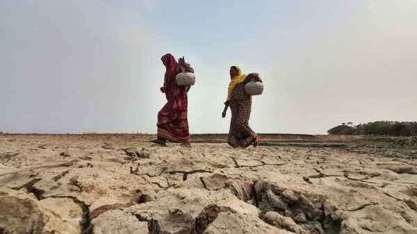 ছবি: সংগ্রহিত।