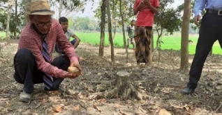 কুমিল্লায় ১৩০০ বছরের তিন পুরাকীর্তির সন্ধান