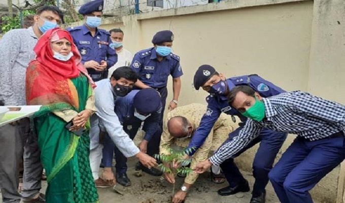 কুমিল্লায় জাতীয় বৃক্ষ রোপণ কর্মসূচি উদ্বোধন