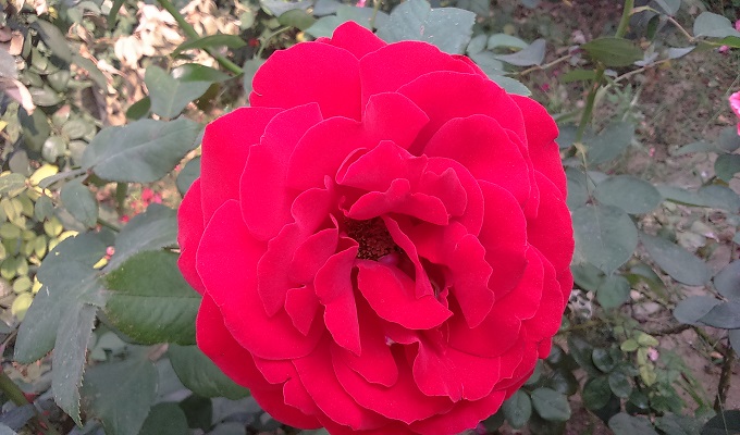 ছবি : উইমেননিউজ২৪.কম