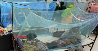 ডেঙ্গুতে এক দিনে ১৫ জনের প্রাণ গেল