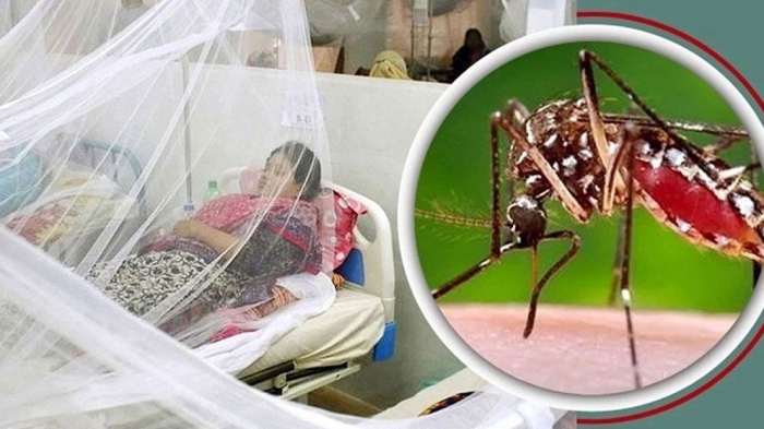 প্রতীকী ছবি।