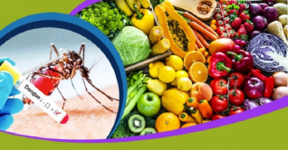 ডেঙ্গু রোগে যেসব খাবার উপকার করবে