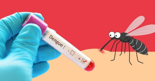 ডেঙ্গুতে আরো ৯ জনের মৃত্যু, হাসপাতালে ২২৯৩ ডেঙ্গুতে আরো ৯ জনের মৃত্যু, হাসপাতালে ২২৯৩