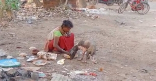 কুকুর ও নারী একই থালায় খাবার খাচ্ছে! ভিডিও ভাইরাল কুকুর ও নারী একই থালায় খাবার খাচ্ছে! ভিডিও ভাইরাল