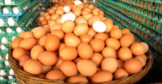 রোজায় চাহিদা বাড়ায় ডিমের দাম ঊর্ধ্বমুখী