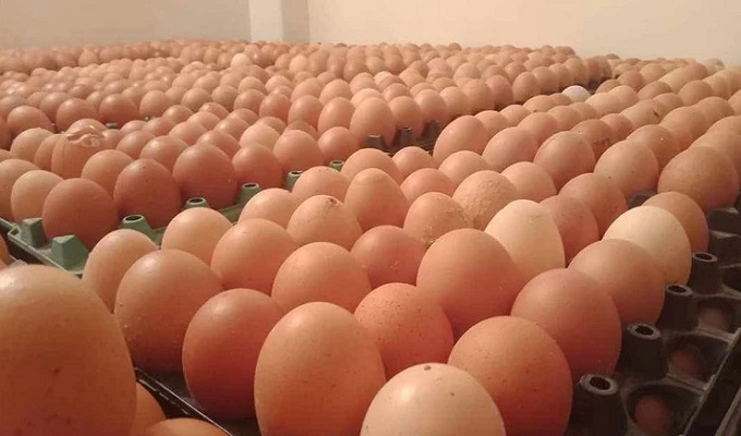 ছবি: সংগ্রহিত।