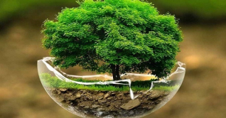 বিশ্ব পরিবেশ দিবস আজ বিশ্ব পরিবেশ দিবস আজ