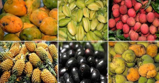 মৌসুমী ফলে ভরপুর কুমিল্লার বাজার মৌসুমী ফলে ভরপুর কুমিল্লার বাজার