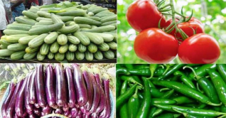 বেড়েছে কাঁচা মরিচের দাম, কমেছে শসার বেড়েছে কাঁচা মরিচের দাম, কমেছে শসার