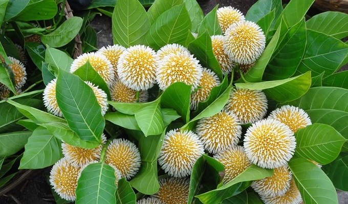 ফাইল ছবি।