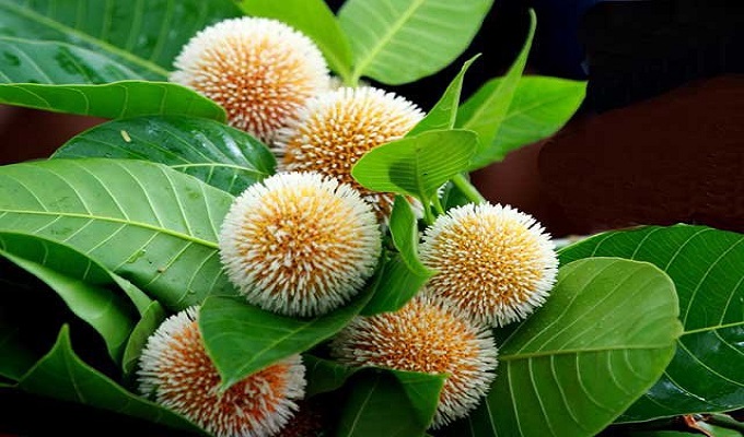 ছবি: সংগ্রহিত।
