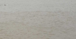 বোনকে বাঁচাতে গিয়ে দুই বোনেরই মৃত্যু