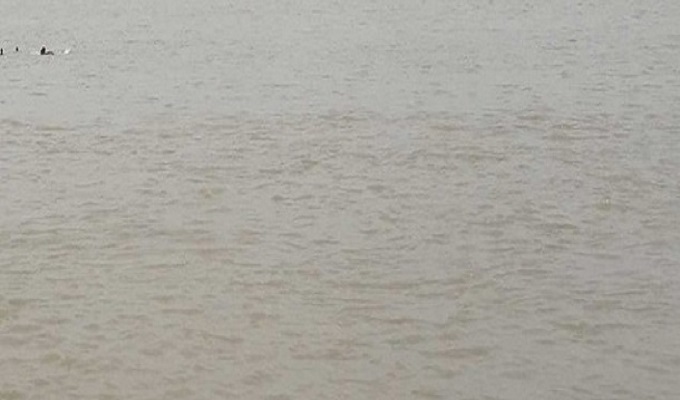 ফাইল ছবি।