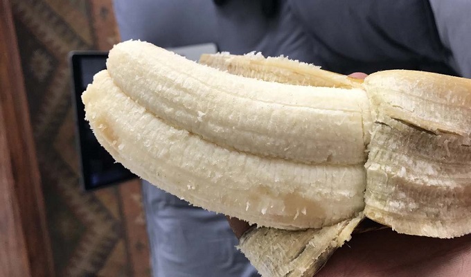 ফাইল ছবি।