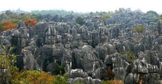 অশিমার অপূর্ণ ভালবাসার অভিশাপ, রহস্যময় পাথুরে জঙ্গল