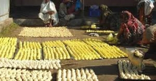 কুমড়ো বড়ি: শতাধিক পরিবার দেখেছে সচ্ছলতার মুখ