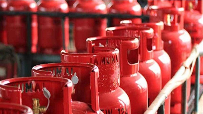 ফাইল ছবি।