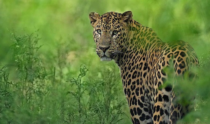 ছবি: সংগ্রহিত।