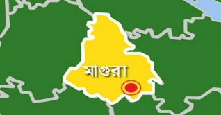 মাগুরায় সাপের কামড়ে কন্যাশিশুর মৃত্যু