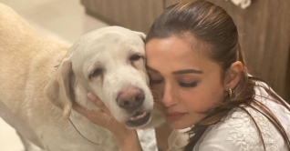 পোষা কুকুর চিকুর মৃত্যুতে মিমি চক্রবর্তীর কষ্ট