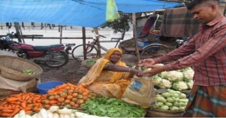 মীরা: এক বিস্মৃতপ্রায় মুক্তিযোদ্ধার লড়াইয়ের গল্প