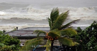 বুলবুলের তাণ্ডবে নারীসহ ২ জন নিহত