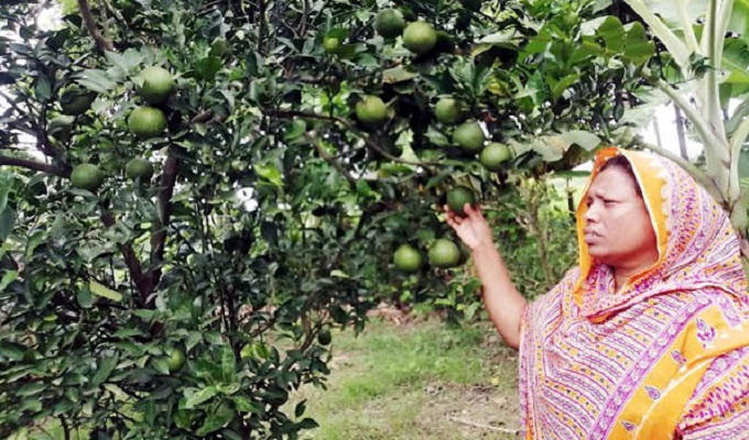 কুষ্টিয়ার নারী উদ্যোক্তা ময়না খাতুন।