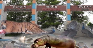 ৩১ মার্চ পর্যন্ত জাতীয় চিড়িয়াখানা বন্ধ