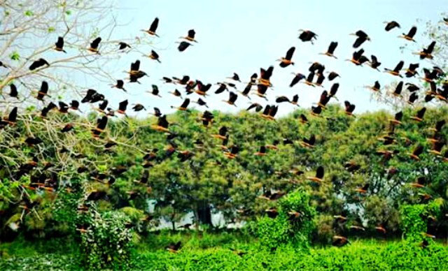 ফাইল ছবি