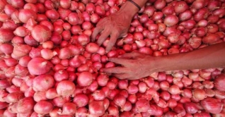 পাগলা ঘোড়ার মতো ছুটছে পেঁয়াজের দাম