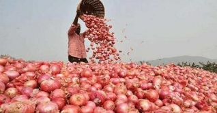 ভারতীয় পেঁয়াজ আসার খবরে দাম কমল কেজিতে ৩০ টাকা