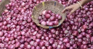 বাজারে পেঁয়াজের সংকট হবে না: বাণিজ্য সচিব