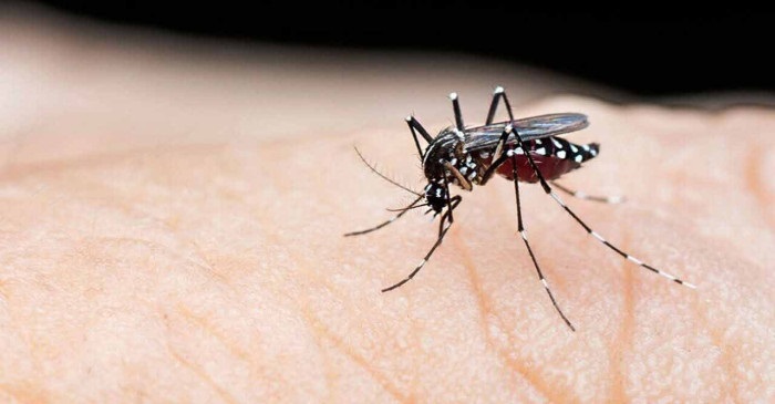 ছবি : সংগৃহীত