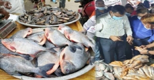 রাজধানীর কারওয়ান বাজারে মাছের আড়তে র্যাবের অভিযান রাজধানীর কারওয়ান বাজারে মাছের আড়তে র্যাবের অভিযান