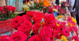 এক গোলাপ ১০০ টাকা!