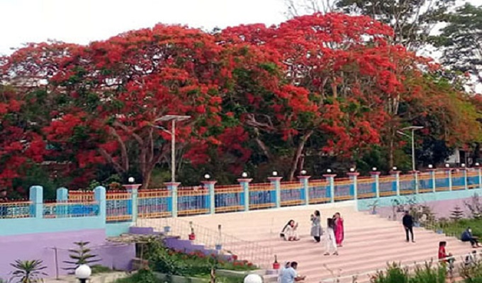 কৃষ্ণচূড়ার রঙে রঙিন রাঙ্গামাটি