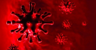 করোনায় দেশে আরও ১৭ জনের মৃত্যু করোনায় দেশে আরও ১৭ জনের মৃত্যু