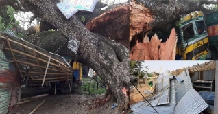 পাঁচ মিনিটের টর্নেডোর আঘাতে লণ্ডভণ্ড চুয়াডাঙ্গা