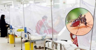 ডেঙ্গুতে ৬ জনের মৃত্যু, হাসপাতালে ভর্তি ৫৮৬ ডেঙ্গুতে ৬ জনের মৃত্যু, হাসপাতালে ভর্তি ৫৮৬