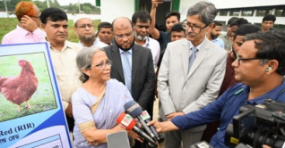 ‘প্রাণীতে অ্যান্টিবায়োটিকের ব্যবহার মানব স্বাস্থ্যের জন্য হুমকি’