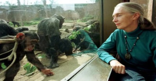 গুডঅল’র মৃত্যুতে প্রধান উপদেষ্টার শোক গুডঅল’র মৃত্যুতে প্রধান উপদেষ্টার শোক