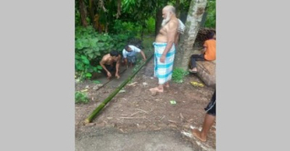 মহিলা মেম্বারের পুকুর দখল করে মাছ লুটের হুমকি