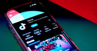 টিকটক অ্যাপে সার্চ দিলেই আসছে পর্নোগ্রাফিক কনটেন্ট!